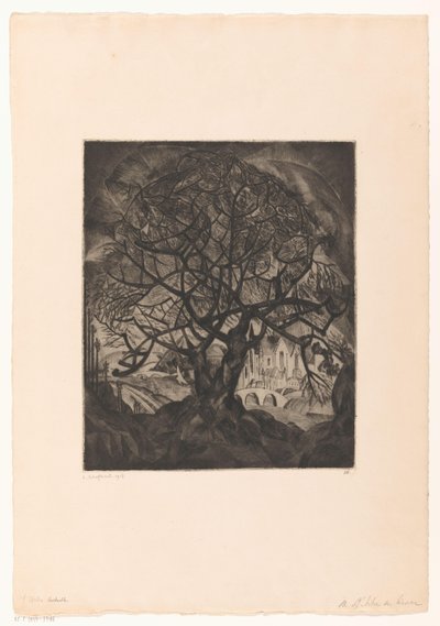 Arbre amb branques nues L