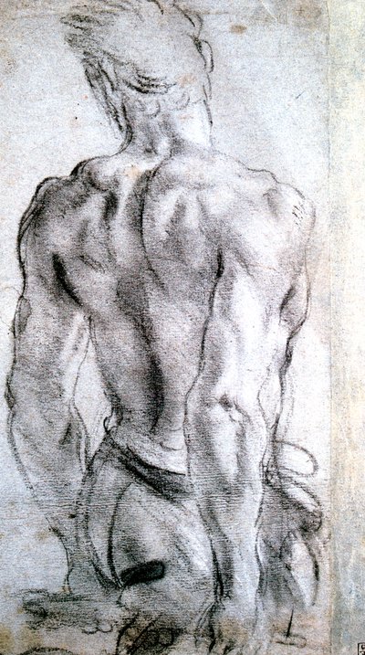 Figuuritutkimus, c1560-1609 tekijältä Lodovico Carracci