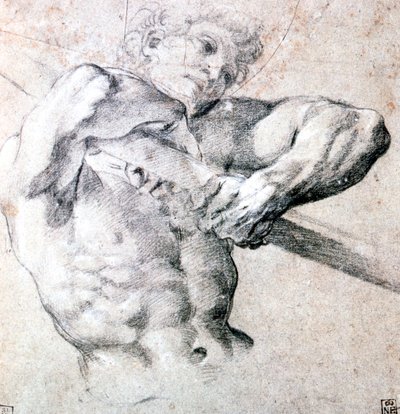 Study of a Figure, c1575-1619 tekijältä Lodovico Carracci