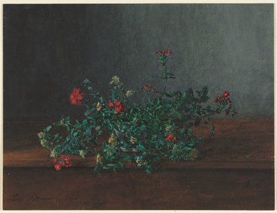 Asetelma luonnonvaraisten kukkien kanssa, 1864. tekijältä Léon Bonvin