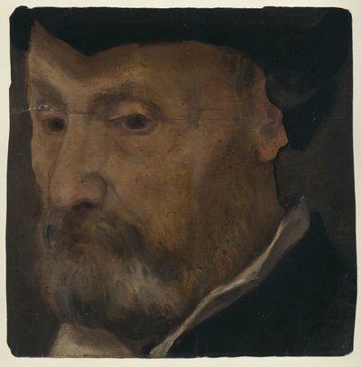 Miehen muotokuva tekijältä Lorenzo Lotto