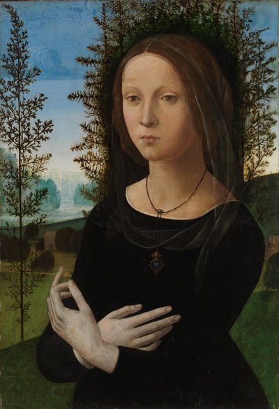 Nuoren naisen muotokuva, noin 1475-80 (öljy puulle). tekijältä Lorenzo di Credi