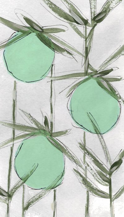 Tiivistelmä: Green Botanicals tekijältä Lori Ann Folz