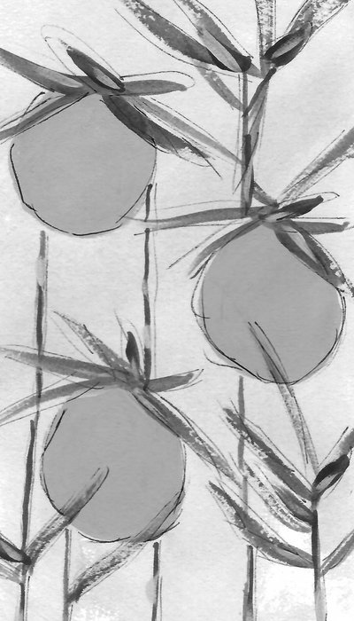 Organic Ink Botanicals tekijältä Lori Ann Folz