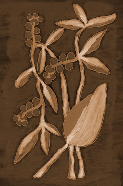 Orgaaniset Sepia Botanicals -tuotteet tekijältä Lori Ann Folz