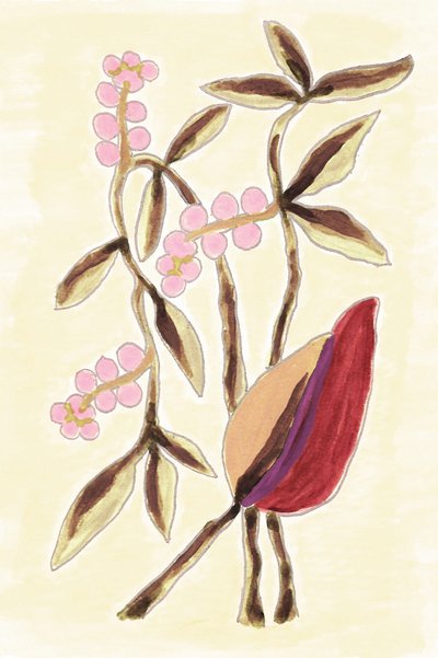 Pink Berry Botanicals tekijältä Lori Ann Folz