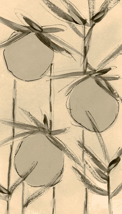 Sepia-puuvillakasvit tekijältä Lori Ann Folz