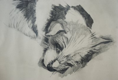 Jack Russel, 2015, tekijältä Lou Gibbs