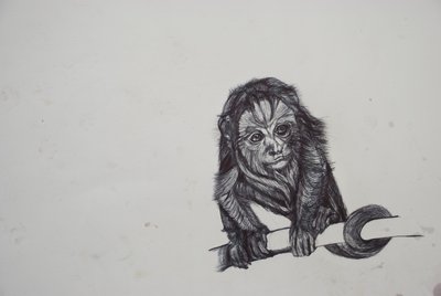 Monkey Business, 2016, (bico biro paperilla) tekijältä Lou Gibbs
