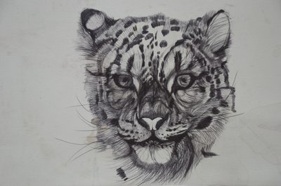 Snow Leopard, 2016,(bico paperilla) tekijältä Lou Gibbs