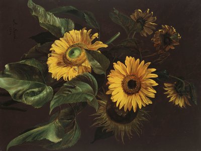 Auringonkukat, 1839 tekijältä Louis Apollinaire Sicard