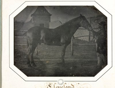 Cleveland tekijältä Louis Auguste Bisson