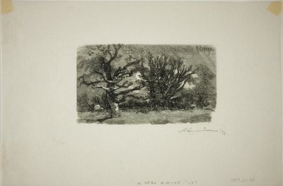 Au Dormoir de Lantara tekijältä Louis Auguste Lepère