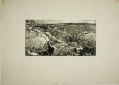 Le Cirque du Long-Rocher tekijältä Louis Auguste Lepère