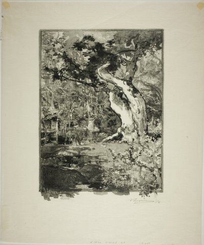 Le Clovis, Plateau de Bellecroix tekijältä Louis Auguste Lepère