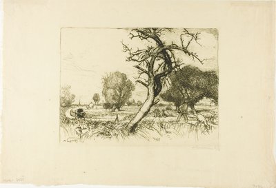 Kuollut omenapuu tekijältä Louis Auguste Lepère