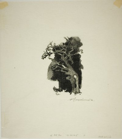 Spitfire tekijältä Louis Auguste Lepère