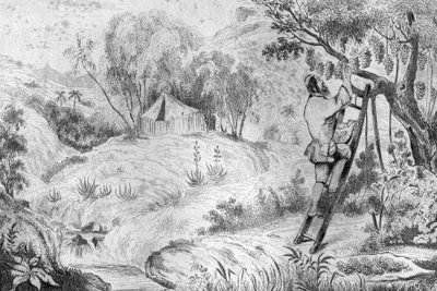 Kukat tekijältä Louis Auguste de Sainson
