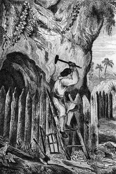 Istutin kymmenen riviä palisadeja. kaiverrus M. de Sainsonin piirustuksen mukaan Daniel Defoen kirjaan (De foe) "Robinson Crusoe"" ranskankielinen painos vuodelta 1837. tekijältä Louis Auguste de Sainson