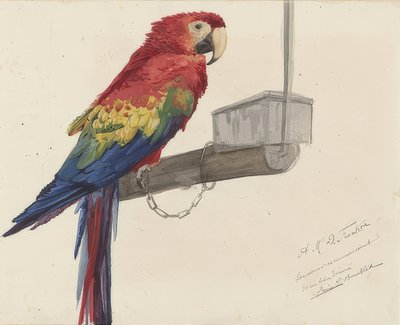 Papukaija. 1879 tekijältä Louis Charles Bombled