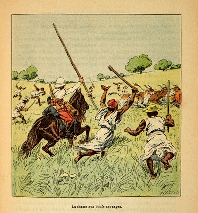 Madagaskarin sota - Henri Galli dit Galllichetin (1854-1922) ranskalaisten tutkimusretkien anekdoottinen historia, kuvittanut Louis Bombled (1862-1927): Villihärkien metsästys Madagaskarilla vuonna 1895, yksityinen kokoelma tekijältä Louis Charles Bombled
