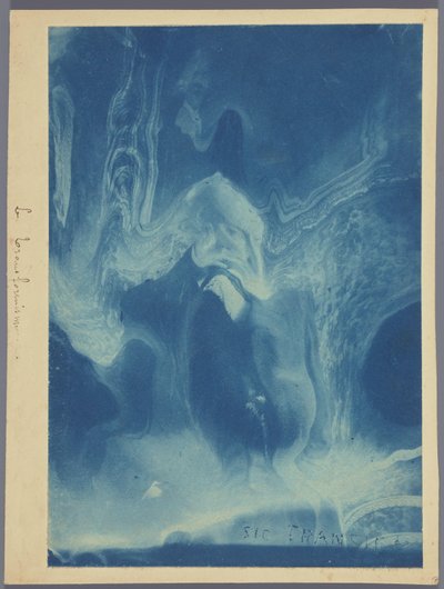 Le transformisme / Sic transit (otsikko esineessä) tekijältä Louis Ducos du Hauron (attributed to)