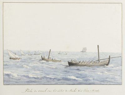 Koraalvissers voor de kust van Sicilië ter hoogte van Terra Nuova Korallin kalastus Sisilian rannikolla kohti Terra Nuovaa (otsikko esineessä) Matkat Italiassa, Sisiliassa ja Maltassa - 1778 (sarjan nimi) tekijältä Louis Ducros