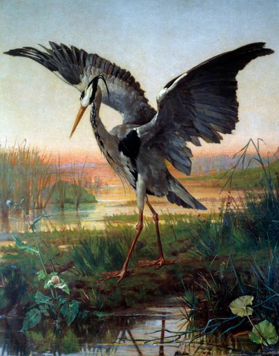 aHaikara. Kuvitus Jean de La Fontainen tarulle ""Haikara ja etana". tekijältä Louis Emile Villa