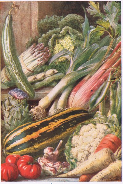 Puutarhavihannekset, kuvitus teoksesta "Garden Ways and Garden Days" (värilitho) tekijältä Louis Fairfax Muckley