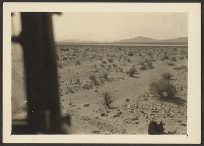 [Amargosa Desert Plants] tekijältä Louis Fleckenstein