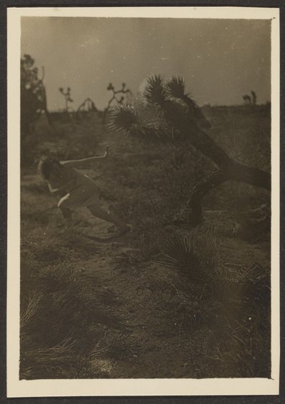 [Bogey Man of the Desert] tekijältä Louis Fleckenstein