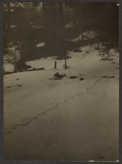 [Lapsi kelkkailee mäkeä alas] tekijältä Louis Fleckenstein