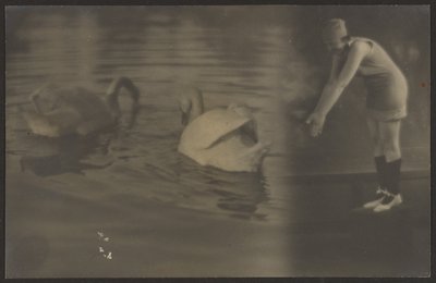 [Yhdistelmä joutsenista ja sukeltajasta] tekijältä Louis Fleckenstein