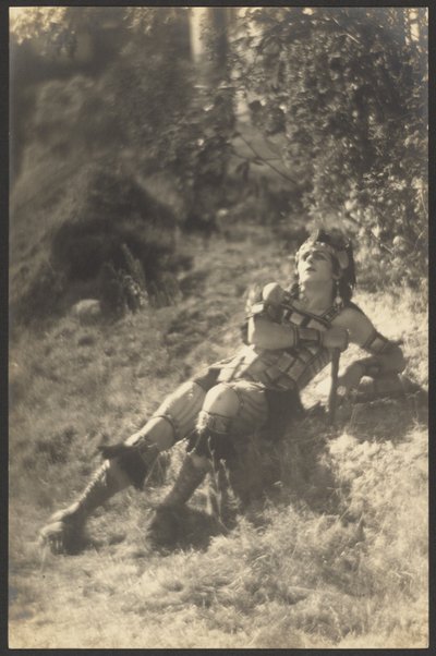 Fallen Gladiator tekijältä Louis Fleckenstein