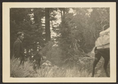 [Hahmot metsäisessä maisemassa] tekijältä Louis Fleckenstein