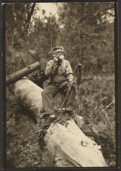 [Fleckenstein on a Log] tekijältä Louis Fleckenstein
