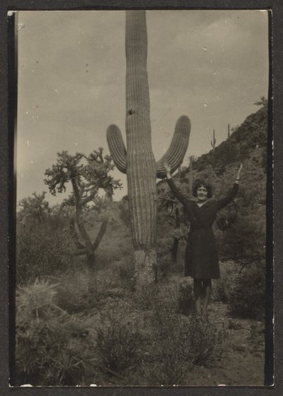 [Florence ja Cactus] tekijältä Louis Fleckenstein