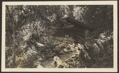 [Forest Lodge] tekijältä Louis Fleckenstein