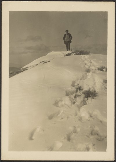 [Louis Fleckenstein on Telescope Peak] tekijältä Louis Fleckenstein