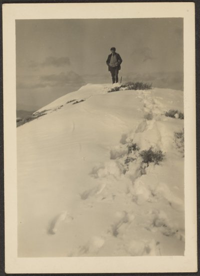 [Louis Fleckenstein on Telescope Peak] tekijältä Louis Fleckenstein