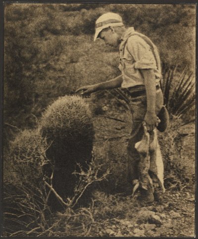  tekijältä Louis Fleckenstein