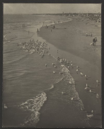 Newport Beach tekijältä Louis Fleckenstein
