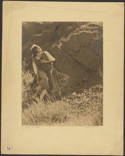  tekijältä Louis Fleckenstein