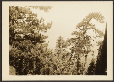 [Santa Rosa Peak] tekijältä Louis Fleckenstein