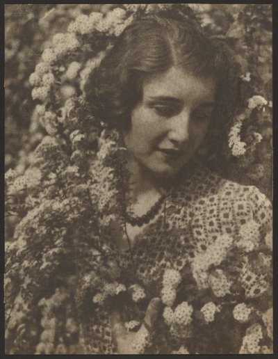 Spirea tekijältä Louis Fleckenstein