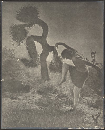  tekijältä Louis Fleckenstein