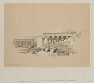 Egypti ja Nubia, osa II: Sivunäkymä temppelistä nimeltä The Typhonoeum at Dendera, 1848. tekijältä Louis Haghe