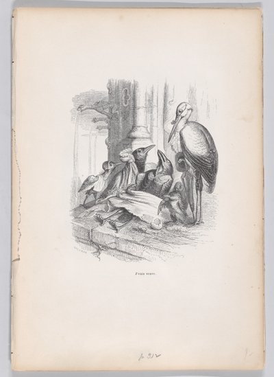 Olin leski Scenes from the Private and Public Life of Animals, noin. 1837-47. tekijältä Louis Henri Brévière