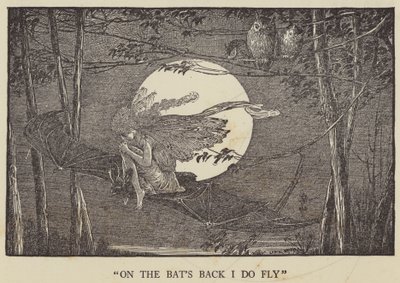 Lepakoiden selässä minä lennän tekijältä Louis John Rhead