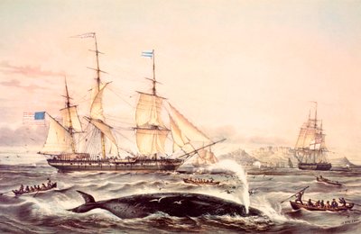 Valaanpyynti Hyvän toivon niemessä tekijältä Louis Le Breton